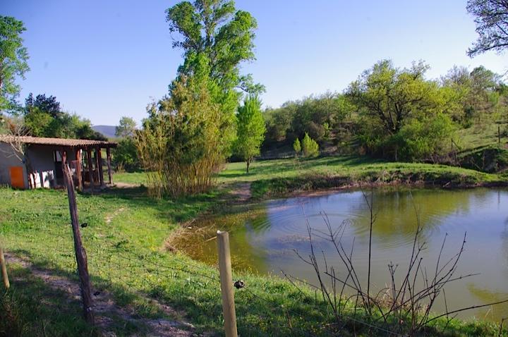 Domaine De Chadeyron Ξενοδοχείο Lagorce  Εξωτερικό φωτογραφία