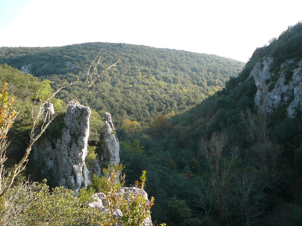 Domaine De Chadeyron Ξενοδοχείο Lagorce  Εξωτερικό φωτογραφία