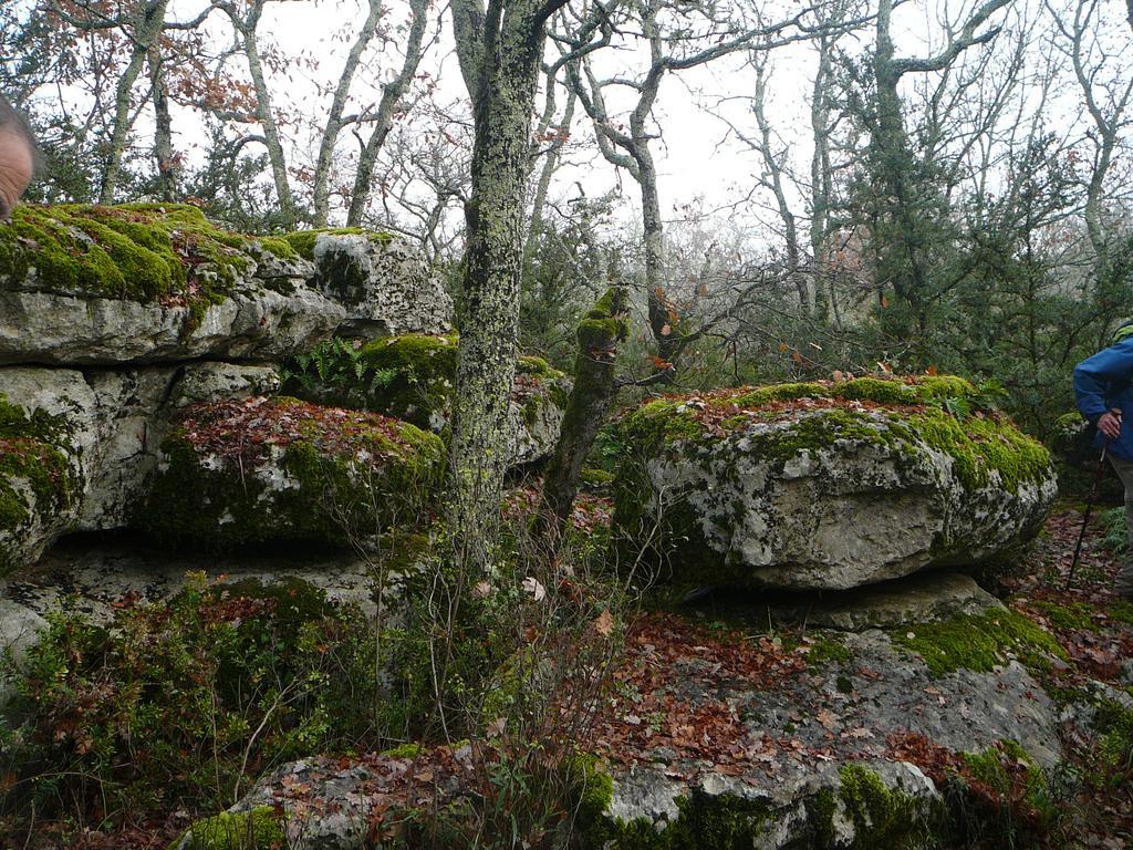 Domaine De Chadeyron Ξενοδοχείο Lagorce  Εξωτερικό φωτογραφία